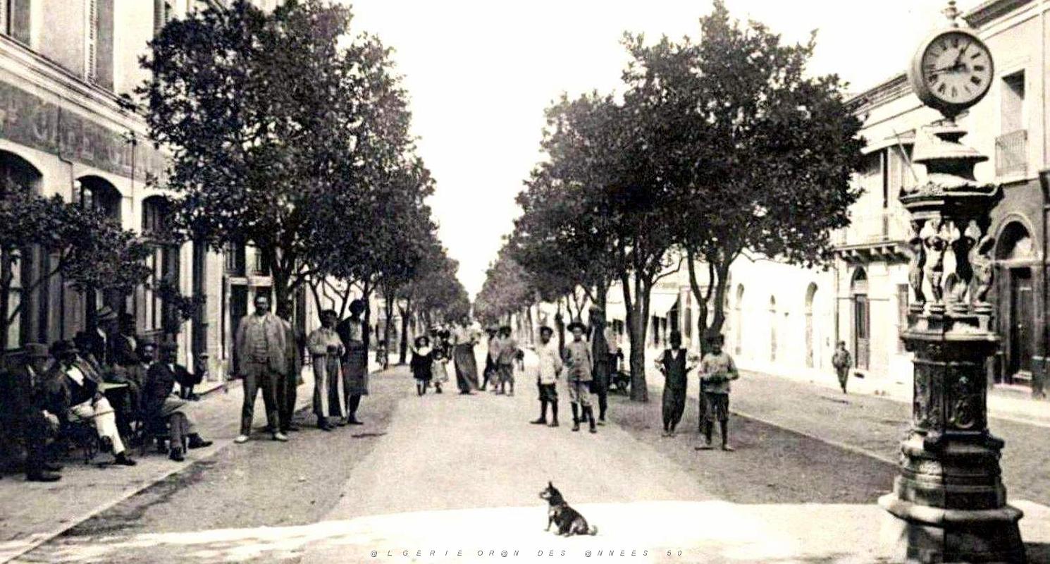 2019- Blida - Boulevard Trumelet2.jpg